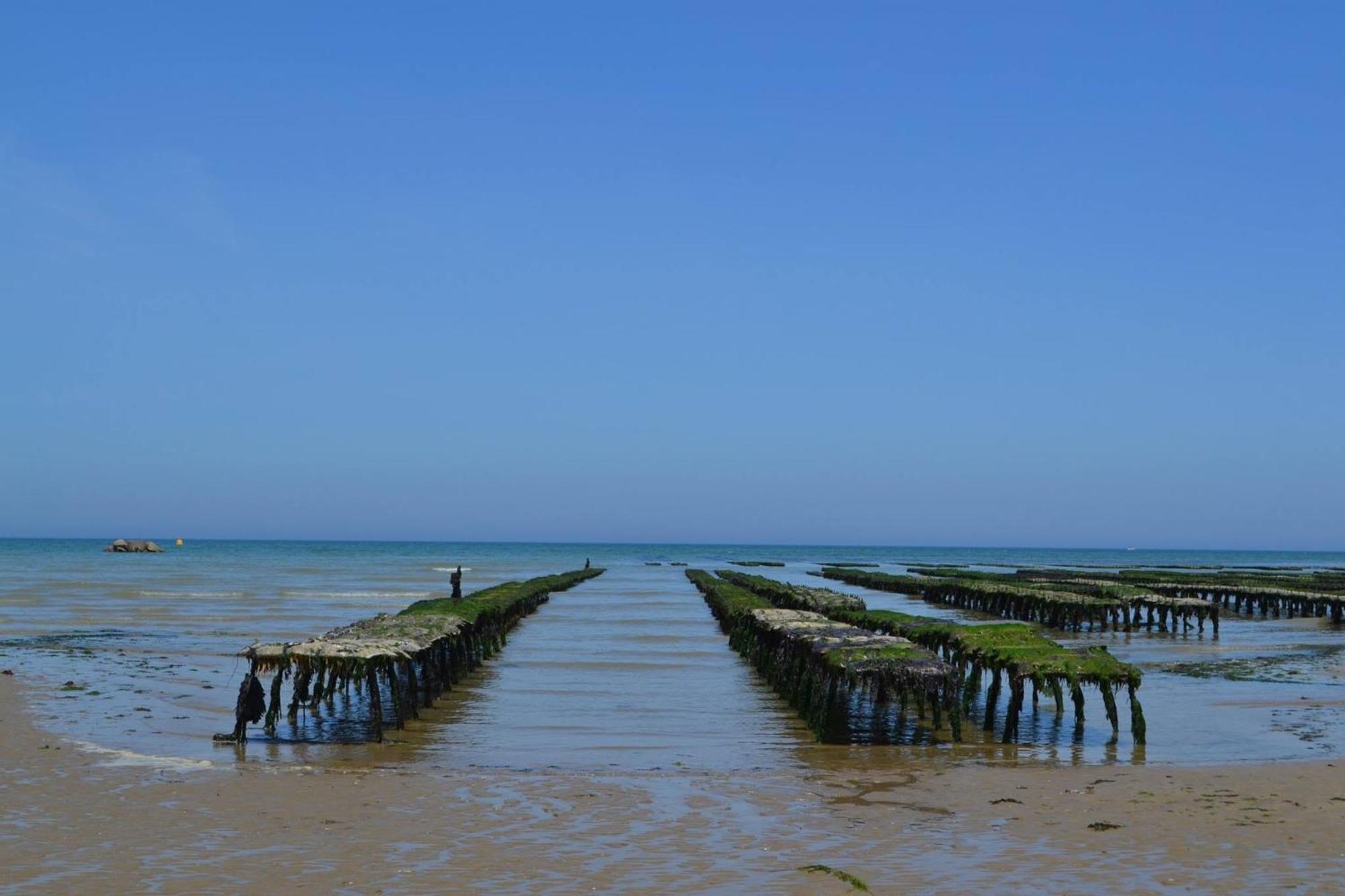 Villa Des Pontons Maison 5 Chambres Avec Grand Jardin Clos Et Belle Terrasse Sejour Spacieux Lumineux A 2 Kms De La Plage D'Arromanches Pres De Bayeux, Omaha Beach - Table De Ping Pong 特雷西索梅 外观 照片